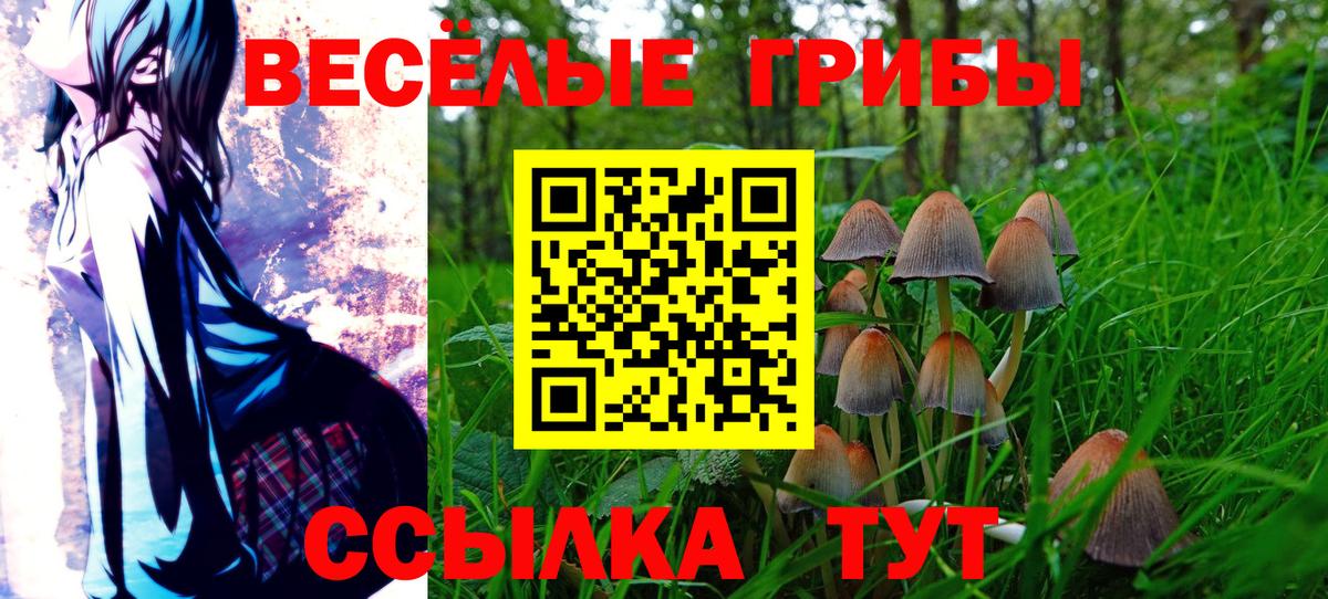 Лянтор  Псилоцибиновые грибы мухоморы  Галлюциногенные грибы GOLDEN TEACHER  Вход с VPN 